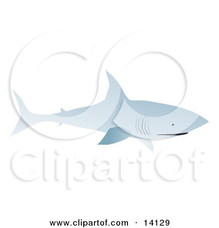 Bull Shark Swimming Wildlife Clipart Illustration by Rasmussen Images