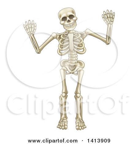 Clipart of a Cartoon Human Skeleton Holding up Both Hands - Royalty Free Vector Illustration by AtStockIllustration
