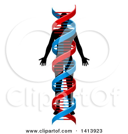 Clipart of a Black Silhouetted Person in a Blue and Red Double Helix Dna Strand - Royalty Free Vector Illustration by AtStockIllustration