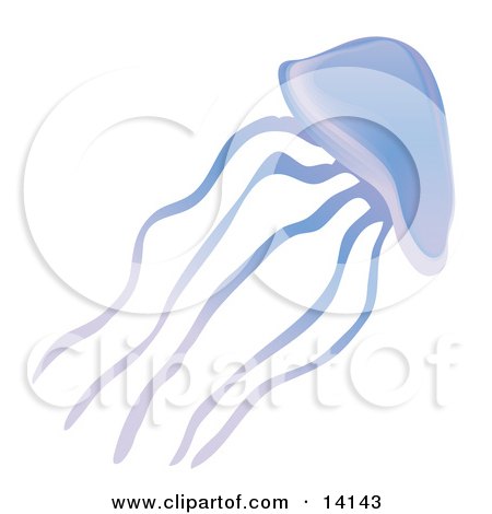 Purple Jellyfish Wildlife Clipart Illustration by Rasmussen Images