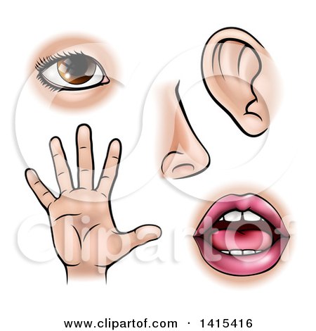 Clipart of the Five Senses, Sight, Smell, Hearing, Touch and Taste - Royalty Free Vector Illustration by AtStockIllustration
