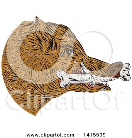 Clipart of a Sketched Wild Boar Pig Head with a Bone in Its Mouth - Royalty Free Vector Illustration by patrimonio