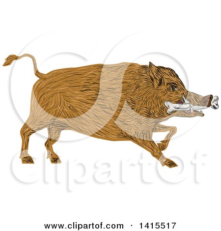 Clipart of a Sketched Wild Boar Pig with a Bone in Its Mouth - Royalty Free Vector Illustration by patrimonio