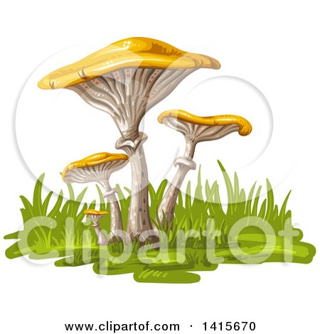 Clipart of a Group of Mushrooms - Royalty Free Vector Illustration by merlinul