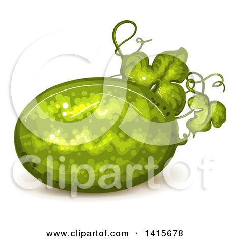 Clipart of a Watermelon on the Vine - Royalty Free Vector Illustration by merlinul