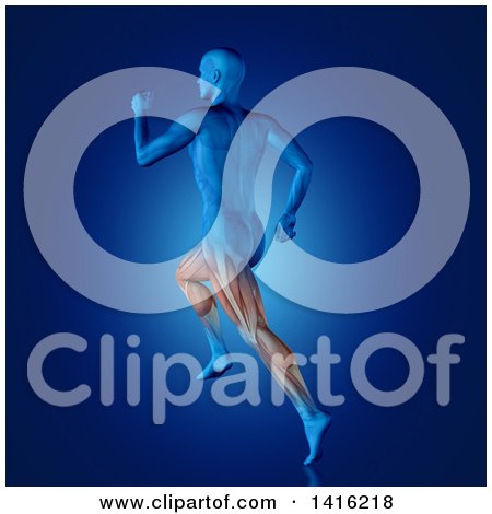 Clipart of a 3d Anatomical Man with Visible Leg Muscles, Running, on a Blue Background - Royalty Free Illustration by KJ Pargeter