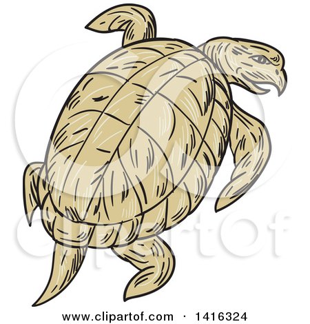Clipart of a Sketched Ridley Turtle Looking Back - Royalty Free Vector Illustration by patrimonio