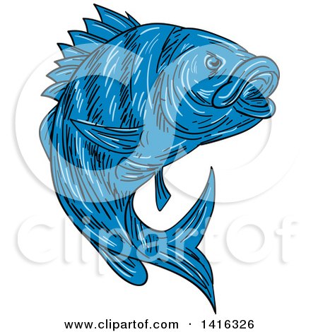 Clipart of a Sketched Blue Sheepshead Fish - Royalty Free Vector Illustration by patrimonio