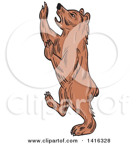 Clipart of a Sketched Rampant American Black Bear - Royalty Free Vector Illustration by patrimonio