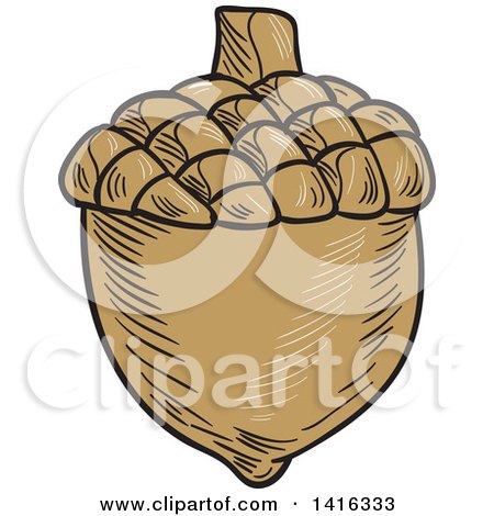 Clipart of a Sketched Acorn Nut - Royalty Free Vector Illustration by patrimonio