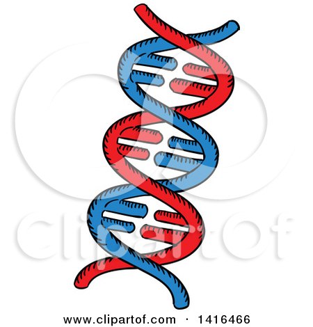 Clipart of a Sketched Dna Strand - Royalty Free Vector Illustration by Vector Tradition SM