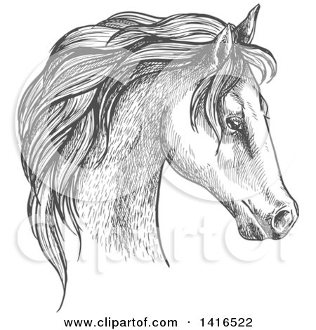 Clipart of a Gray Sketched Horse Head - Royalty Free Vector Illustration by Vector Tradition SM
