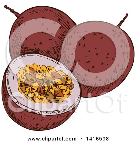 Clipart of a Sketched Passion Fruit - Royalty Free Vector Illustration by Vector Tradition SM