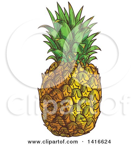 Clipart of a Sketched Pineapple - Royalty Free Vector Illustration by Vector Tradition SM