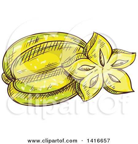 Clipart of a Sketched Star Fruit - Royalty Free Vector Illustration by Vector Tradition SM