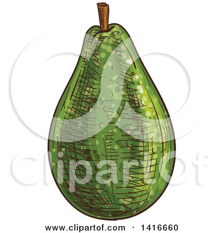 Clipart of a Sketched Avocado - Royalty Free Vector Illustration by Vector Tradition SM