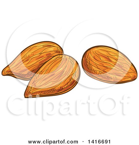 Clipart of Sketched Almonds - Royalty Free Vector Illustration by Vector Tradition SM