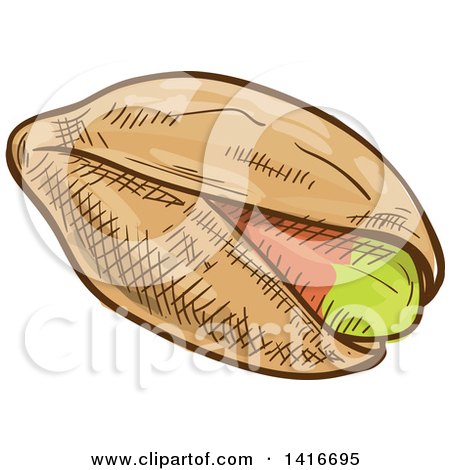 Clipart of a Sketched Pistachio - Royalty Free Vector Illustration by Vector Tradition SM