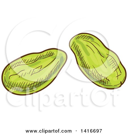 Clipart of Sketched Pistachios - Royalty Free Vector Illustration by Vector Tradition SM