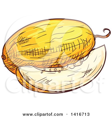 Clipart of a Sketched Melon - Royalty Free Vector Illustration by Vector Tradition SM