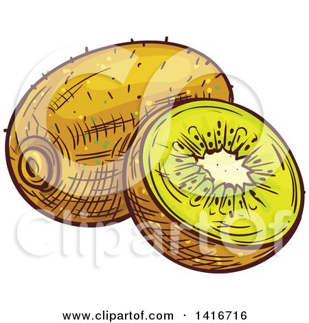 Clipart of a Sketched Kiwi - Royalty Free Vector Illustration by Vector Tradition SM