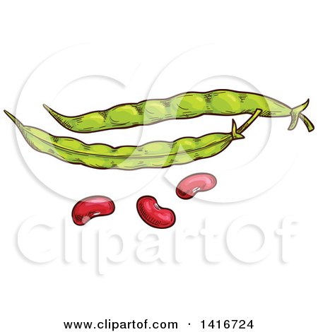 Clipart of Sketched Beans - Royalty Free Vector Illustration by Vector Tradition SM