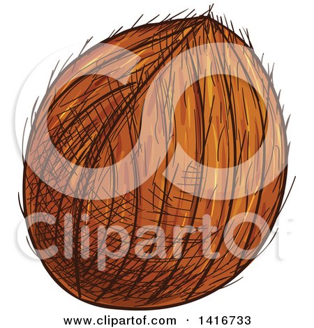 Clipart of a Sketched Coconut - Royalty Free Vector Illustration by Vector Tradition SM