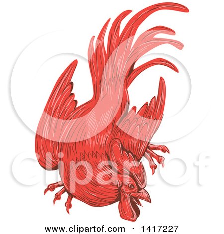 Clipart of a Sketched Red Rooster Crouching - Royalty Free Vector Illustration by patrimonio