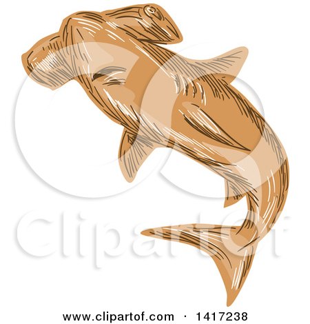 Clipart of a Sketched Brown Hammerhead Shark - Royalty Free Vector Illustration by patrimonio