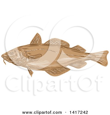 Clipart of a Sketched Atlantic Cod Fish - Royalty Free Vector Illustration by patrimonio