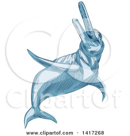 Clipart of a Sketched Amazon River Dolphin - Royalty Free Vector Illustration by patrimonio