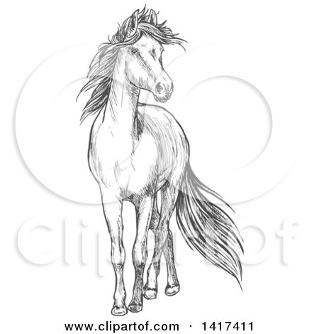 Clipart of a Sketched Gray Horse - Royalty Free Vector Illustration by Vector Tradition SM