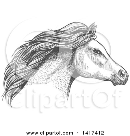 Clipart of a Sketched Gray Horse Head - Royalty Free Vector Illustration by Vector Tradition SM