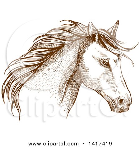 Clipart of a Sketched Brown Horse Head - Royalty Free Vector Illustration by Vector Tradition SM