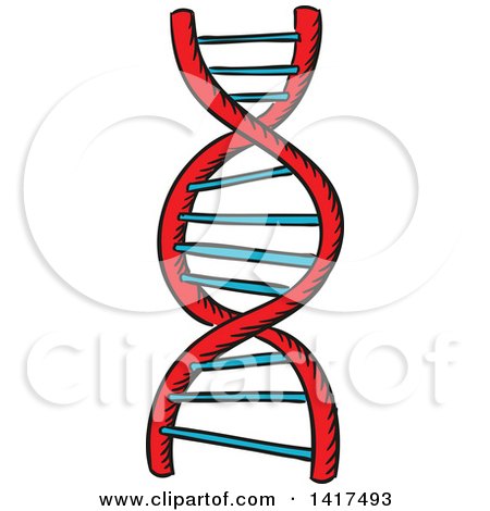 Clipart of a Dna Strand - Royalty Free Vector Illustration by Vector Tradition SM
