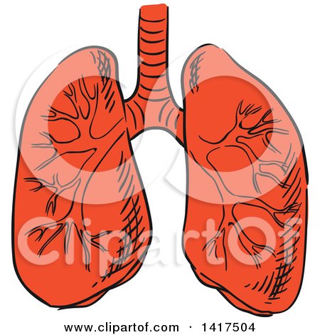 Clipart of a Pair of Lungs - Royalty Free Vector Illustration by Vector Tradition SM