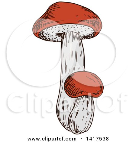 Clipart of a Sketched Mushroom - Royalty Free Vector Illustration by Vector Tradition SM