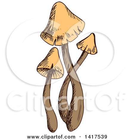 Clipart of a Sketched Mushroom - Royalty Free Vector Illustration by Vector Tradition SM