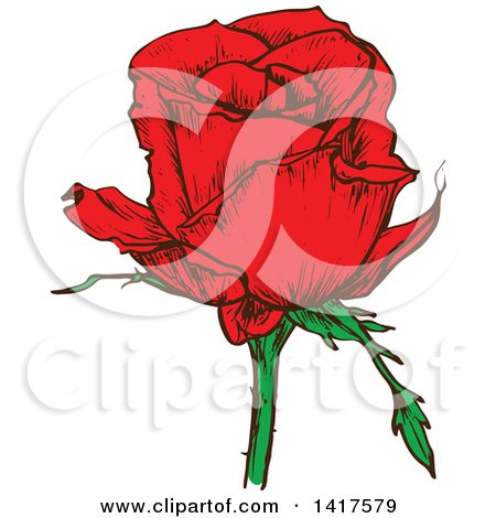 Clipart of a Sketched Red Rose Flower - Royalty Free Vector Illustration by Vector Tradition SM