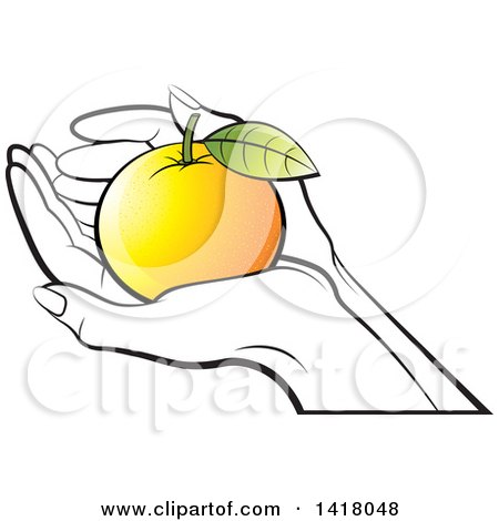 Clipart of Lineart Hands Holding a Colored Orange - Royalty Free Vector Illustration by Lal Perera