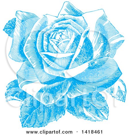 Clipart of a Sketched Blue Rose in Full Bloom - Royalty Free Vector Illustration by BestVector