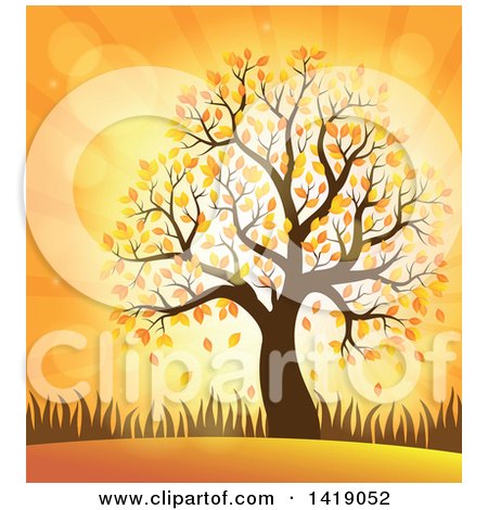 Clipart of a Tree with Autumn Foliage Against an Orange Sunset - Royalty Free Vector Illustration by visekart