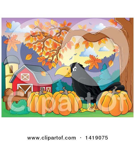 Clipart of a Black Crow Bird with Pumpkins in an Autumn Barn Yard - Royalty Free Vector Illustration by visekart