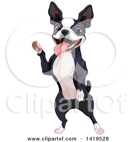 Clipart of a Cute Boston Terrier Dog Standing on His Hind Legs - Royalty Free Vector Illustration by Pushkin