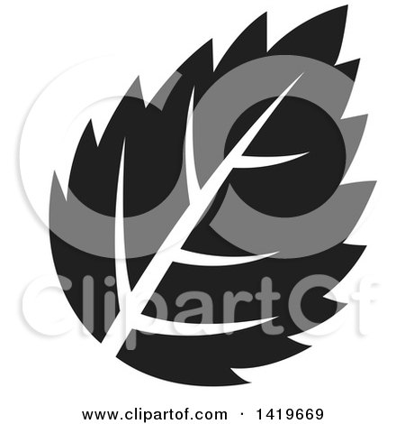 Clipart of a Black and White Plant Leaf - Royalty Free Vector Illustration by cidepix
