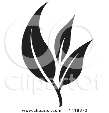 Clipart of Black and White Plant Leaves - Royalty Free Vector Illustration by cidepix