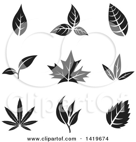 Clipart of Black and White Leaves - Royalty Free Vector Illustration by cidepix