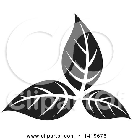 Clipart of Black and White Plant Leaves - Royalty Free Vector Illustration by cidepix
