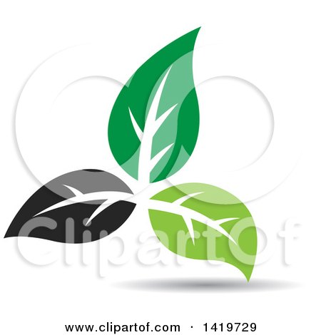 Clipart of Black and Green Plant Leaves - Royalty Free Vector Illustration by cidepix