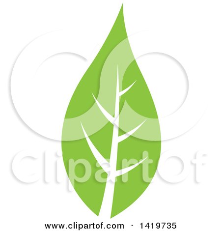 Clipart of a Green Leaf - Royalty Free Vector Illustration by cidepix